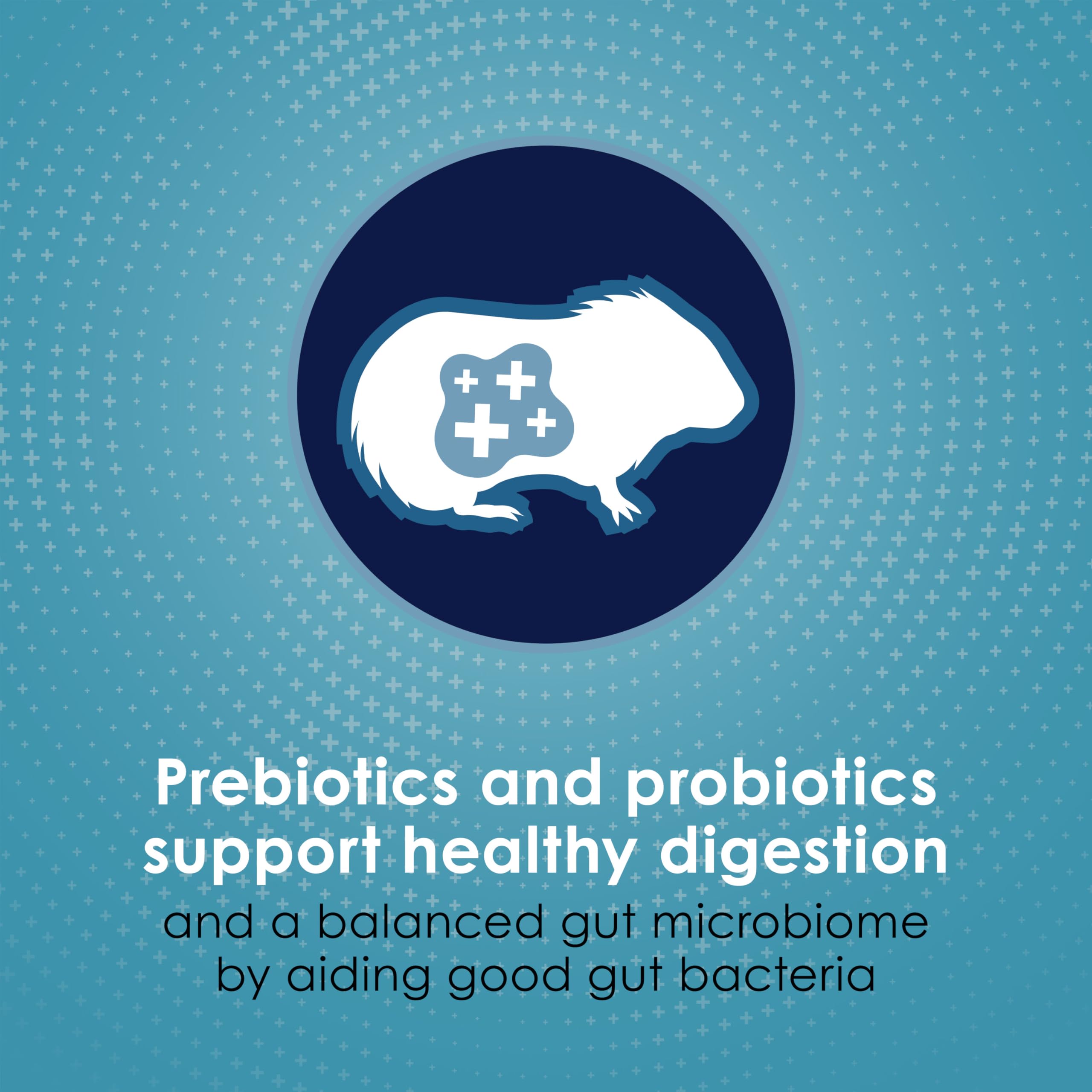 Kaytee Forti-Diet Pro Health crunchy pieces promoting natural chewing and dental health