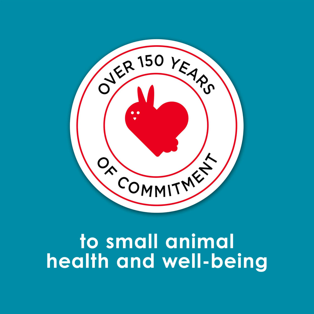 Happy guinea pig enjoying Kaytee Forti-Diet Pro Health mealtime.