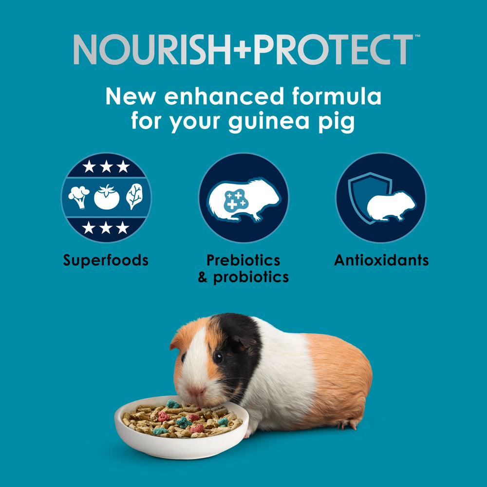 Kaytee Forti-Diet Pro Health pellets closeup highlighting crunchy texture.