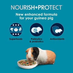 Kaytee Forti-Diet Pro Health pellets closeup highlighting crunchy texture.