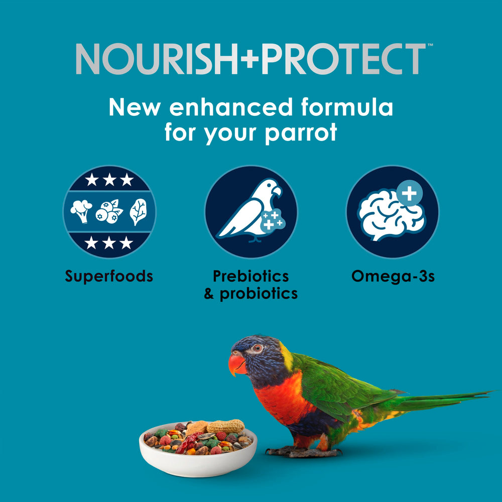 Kaytee Forti-Diet Pro Health parrot food highlights vibrant plumage and healthy feathers