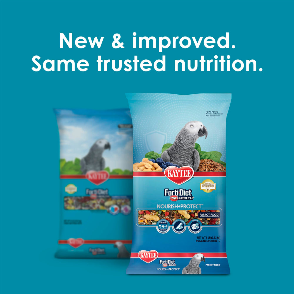 Kaytee Forti-Diet Pro Health parrot food served in a bowl with diverse textures