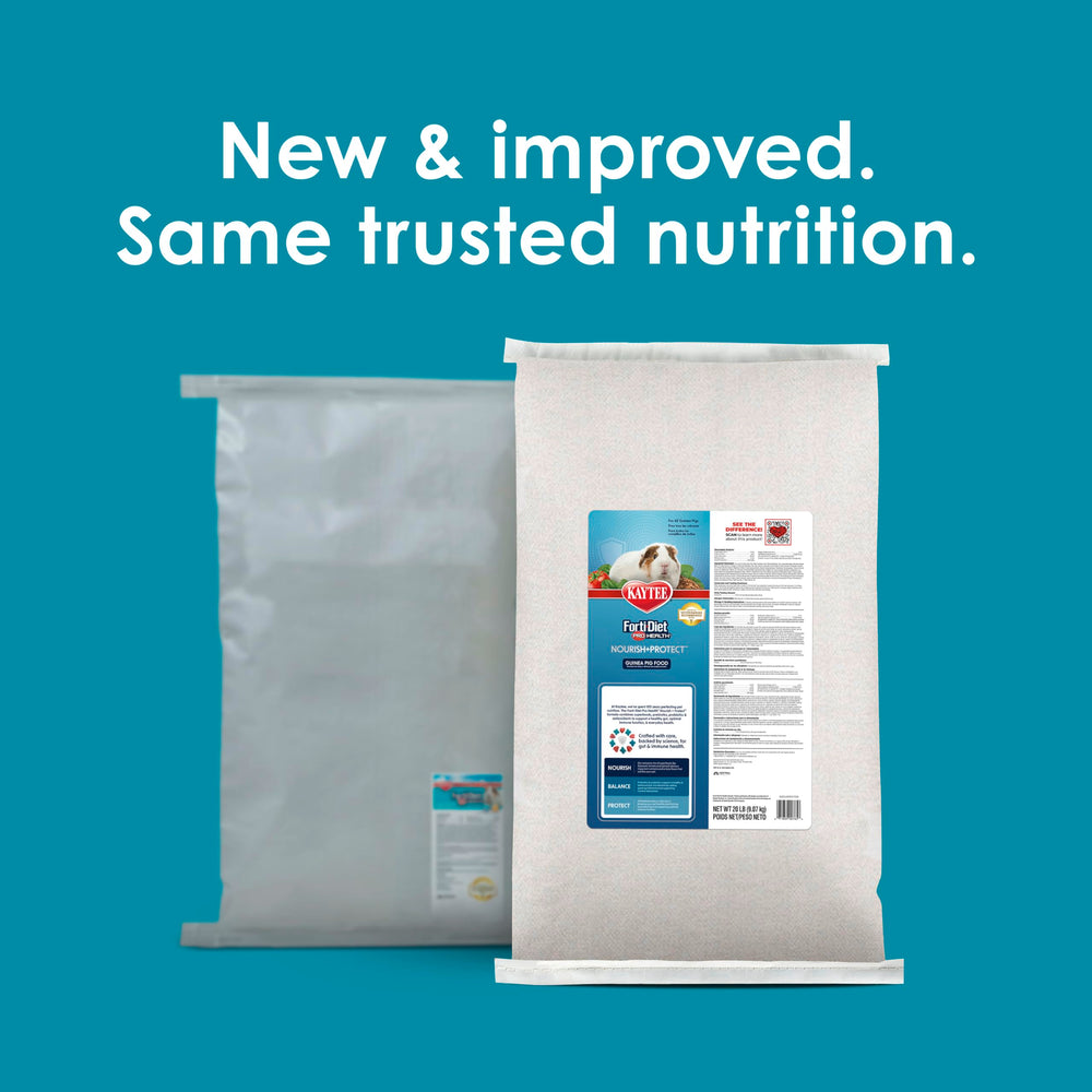 Kaytee Forti-Diet Pro Health pellets close-up highlighting crunchy texture for dental health.