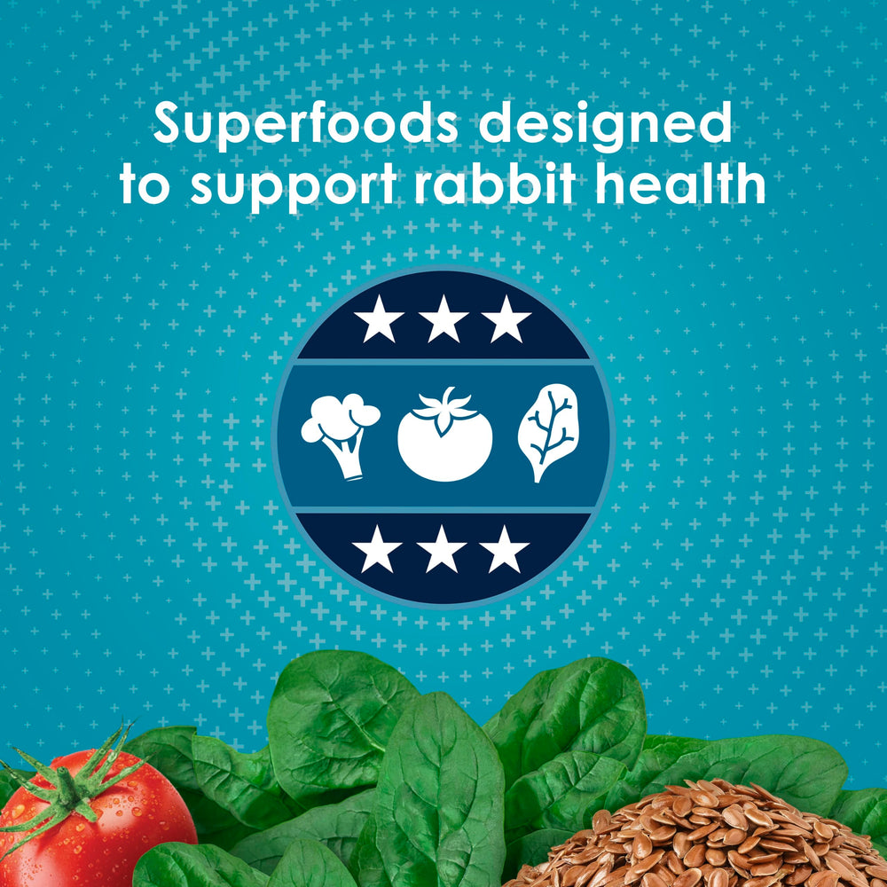 Probiotics and prebiotics support gut health during meals.