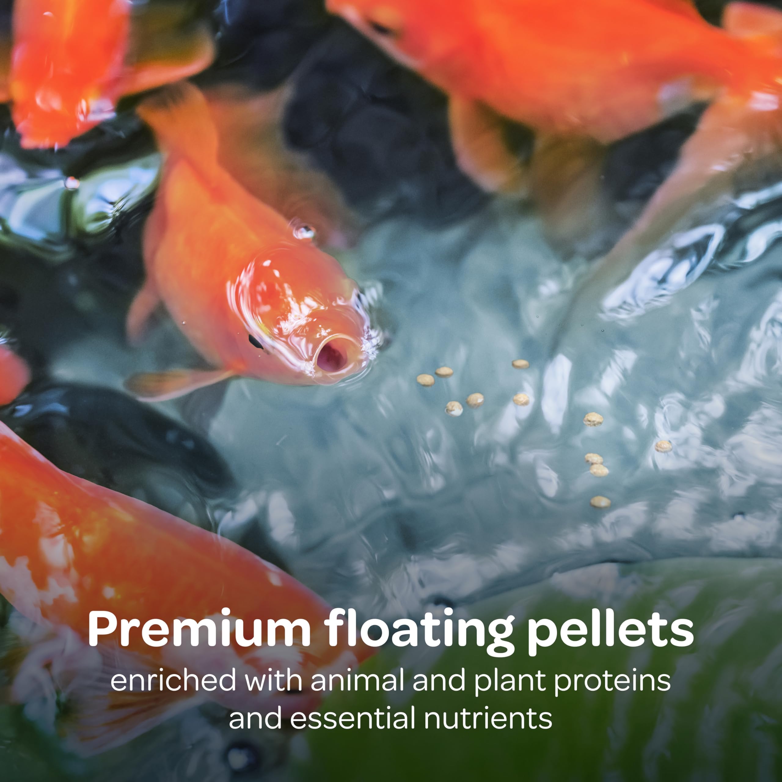 Kaytee Koi's Choice ingredient chart highlights fish meal and plant proteins.