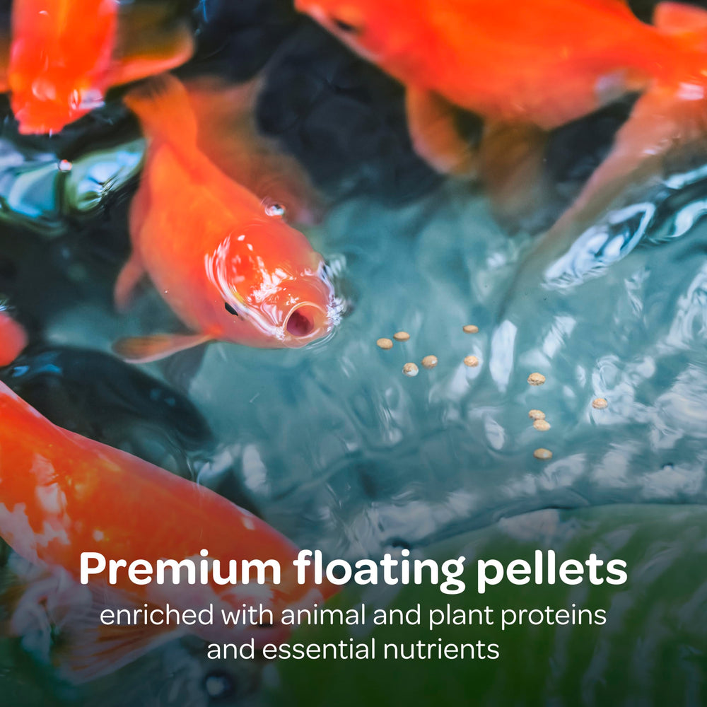 Kaytee Koi's Choice ingredient chart highlights fish meal and plant proteins.