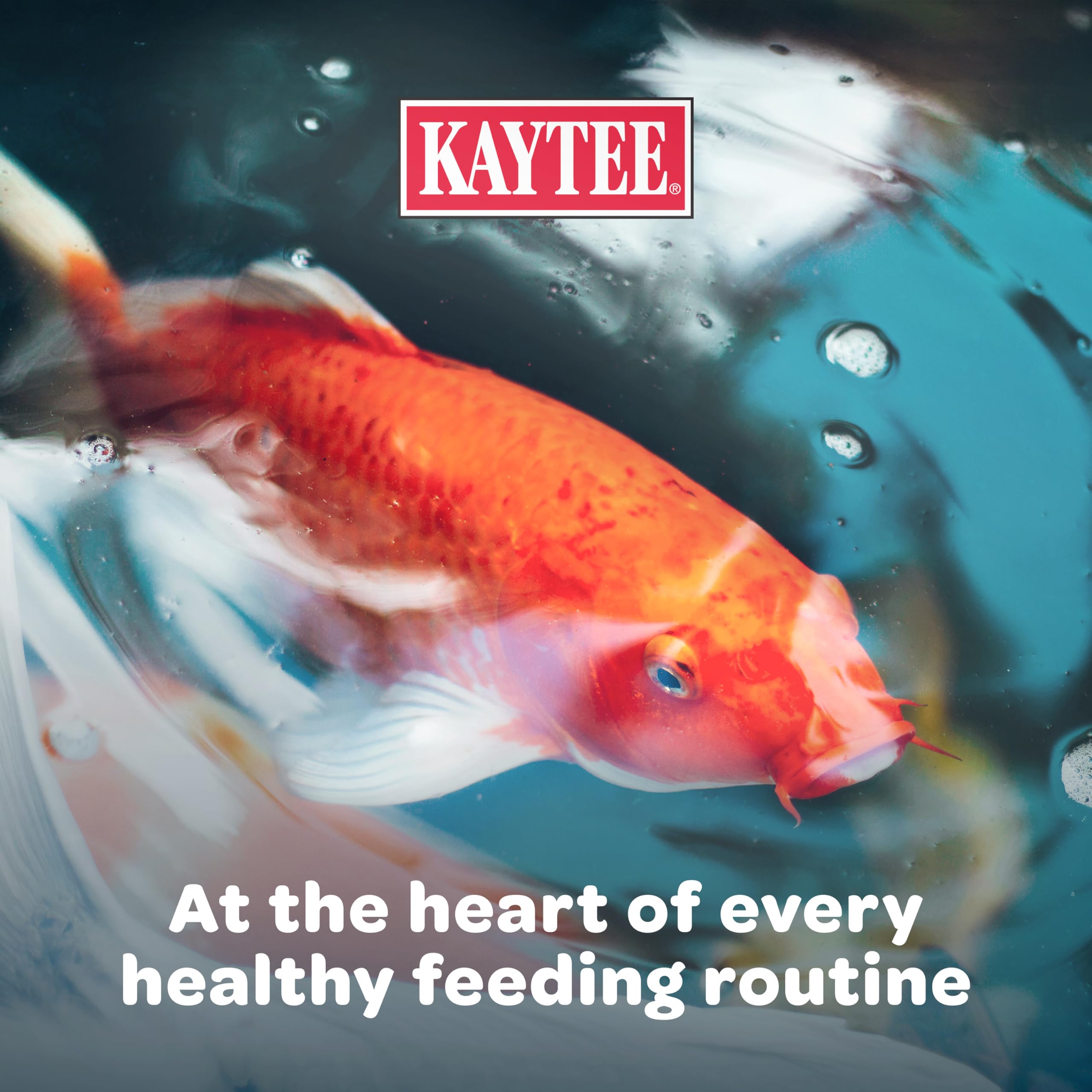 Kaytee Koi's Choice demonstrates a balanced diet for koi and goldfish in a pond.