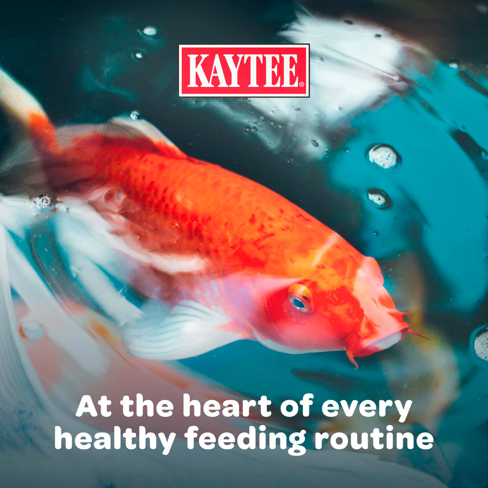 Kaytee Koi's Choice demonstrates a balanced diet for koi and goldfish in a pond.
