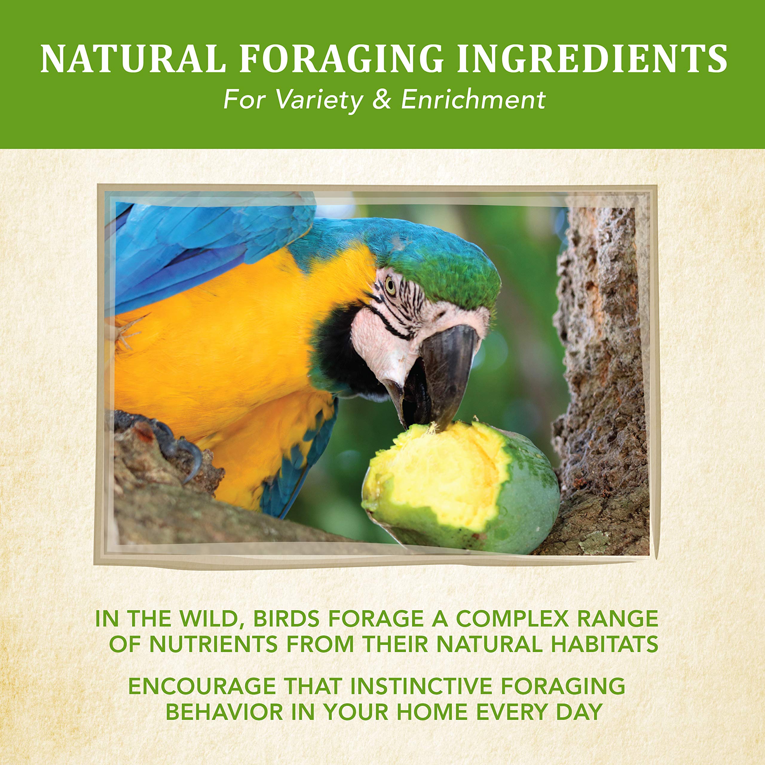 Kaytee Macaw pistachios image showcasing protein-rich bites