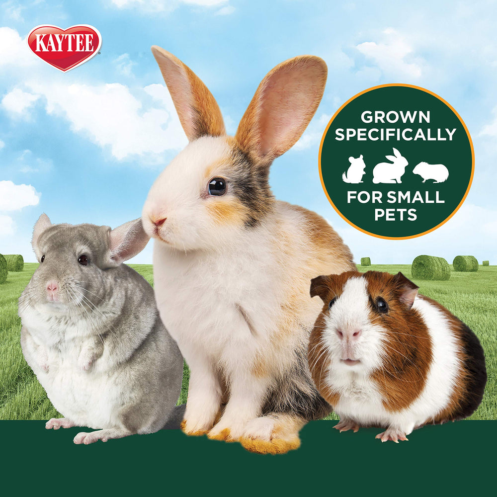 Natural pesticide-free Kaytee hay image highlights clean, wholesome forage.