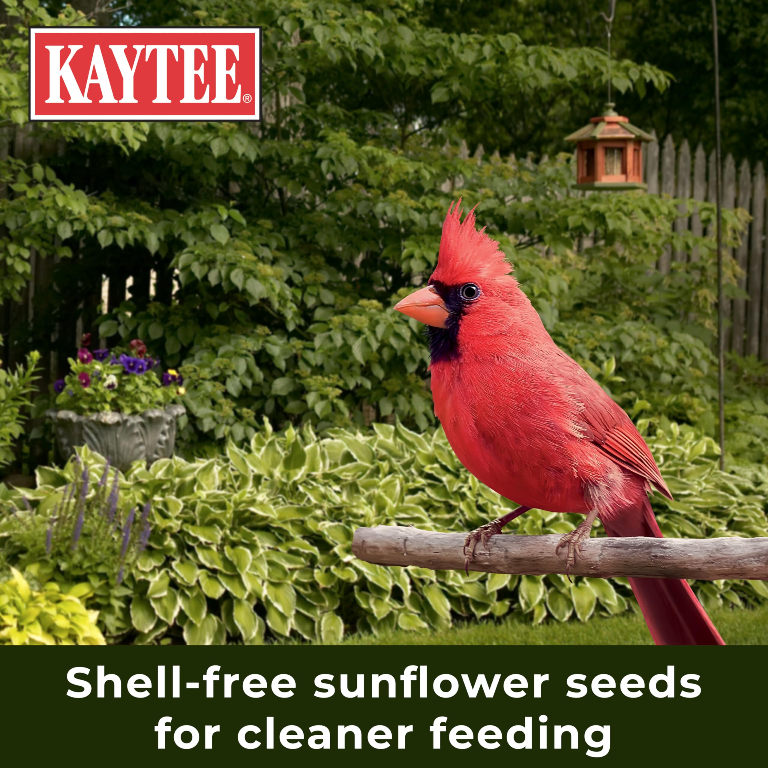 Kaytee no mess feeder setup shot shows tidy yards.