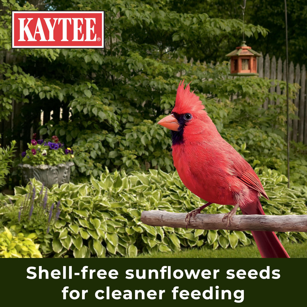 Kaytee no mess feeder setup shot shows tidy yards.