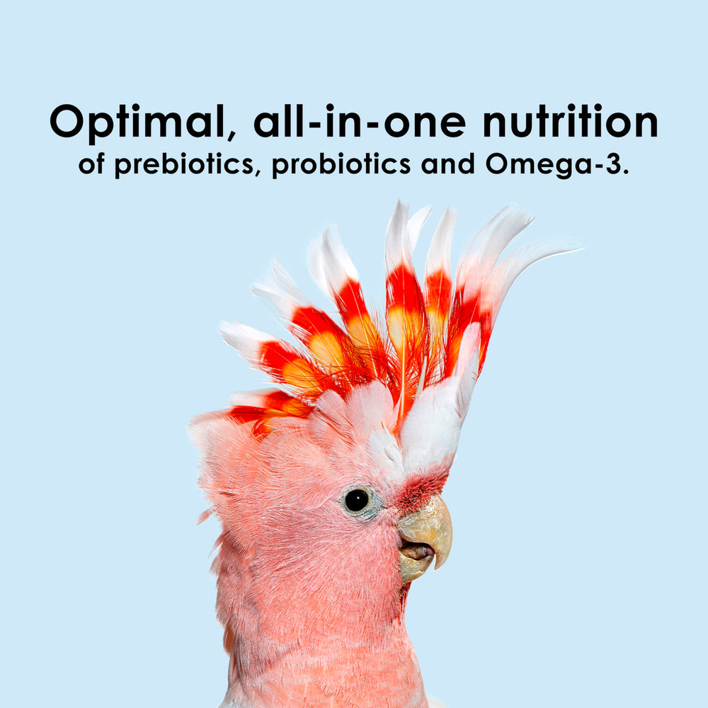 Kaytee Nutri Soft contains prebiotics and probiotics for digestive balance.