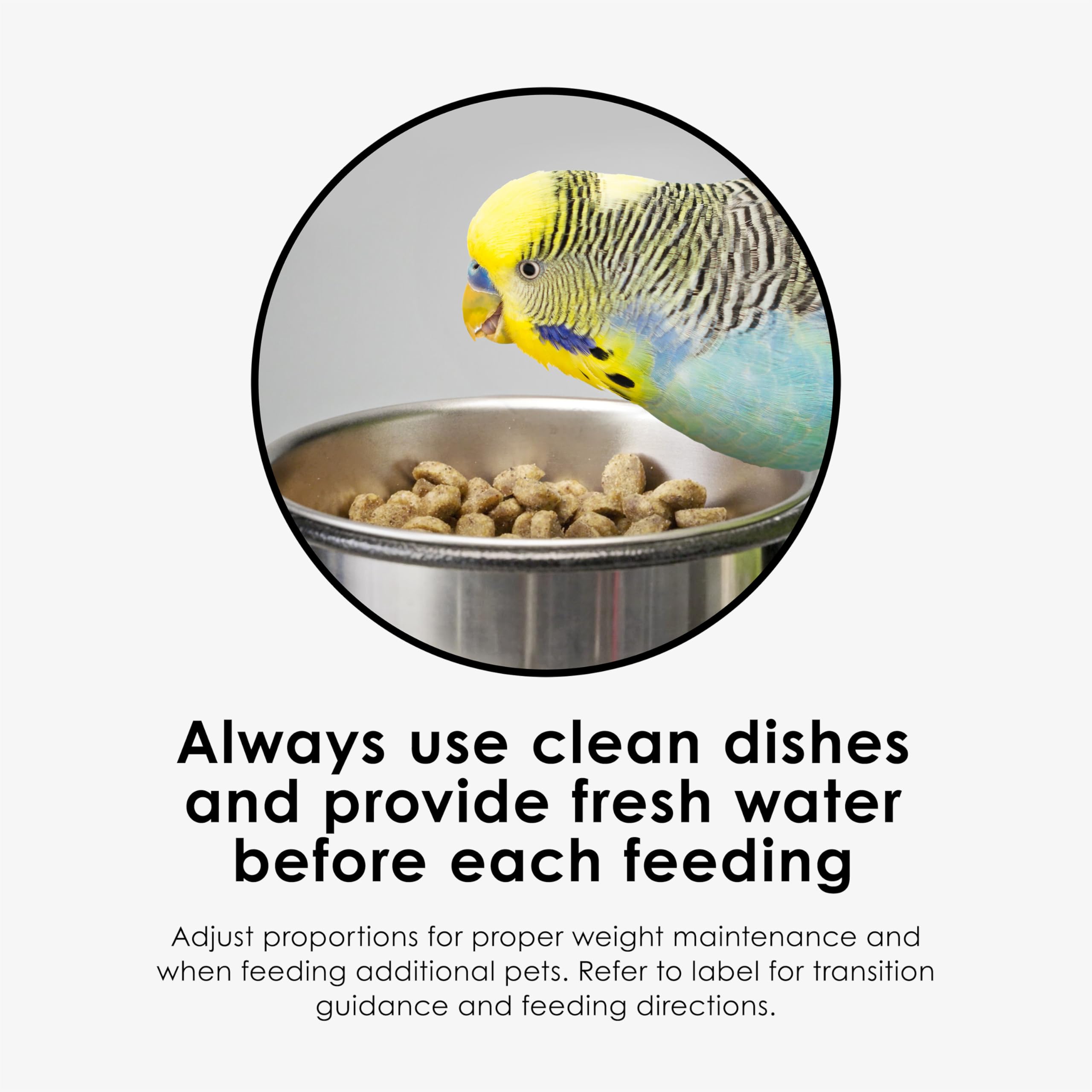 Kaytee NutriSoft showcases digestive support nutrients for birds.