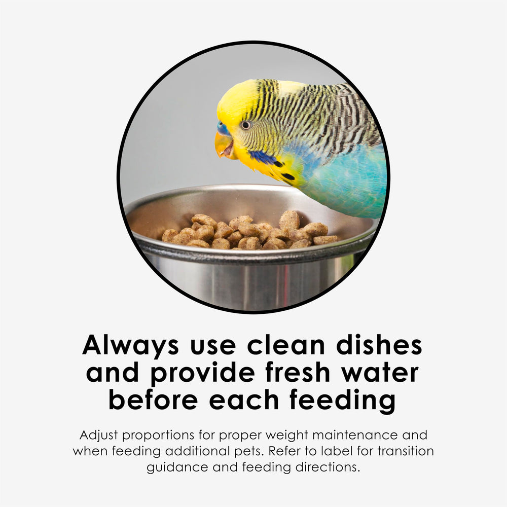 Kaytee NutriSoft showcases digestive support nutrients for birds.