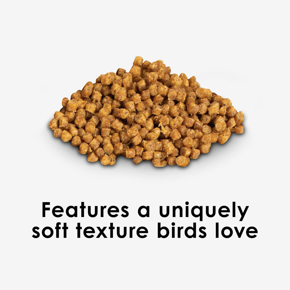 Kaytee NutriSoft natural fruit flavors enhancer for parakeet meals.