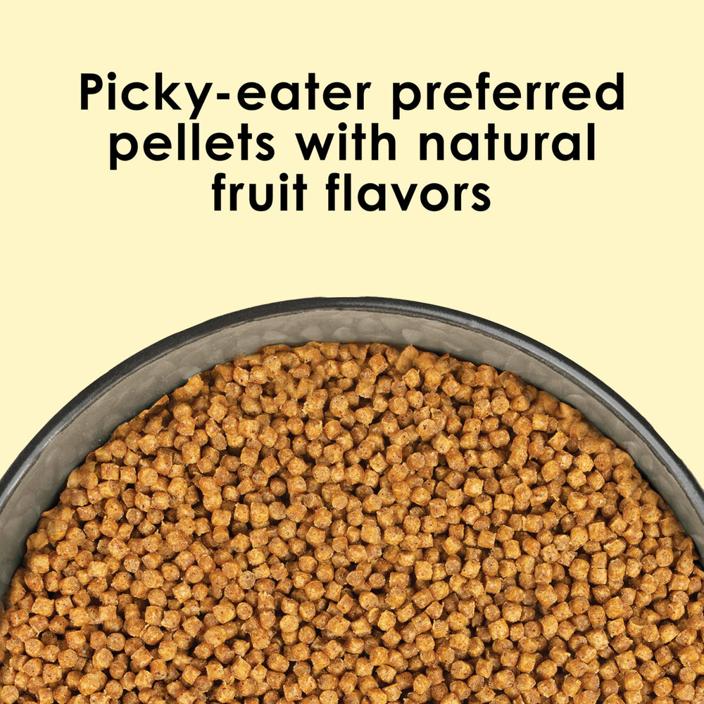Kaytee NutriSoft packaging appealing to picky eater birds during feeding.