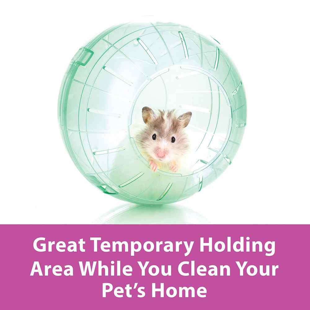 Kaytee Run-About Ball is easy to clean and durable for daily use.