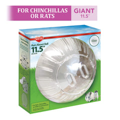 Kaytee Run-About Ball in use for rats during supervised play sessions.