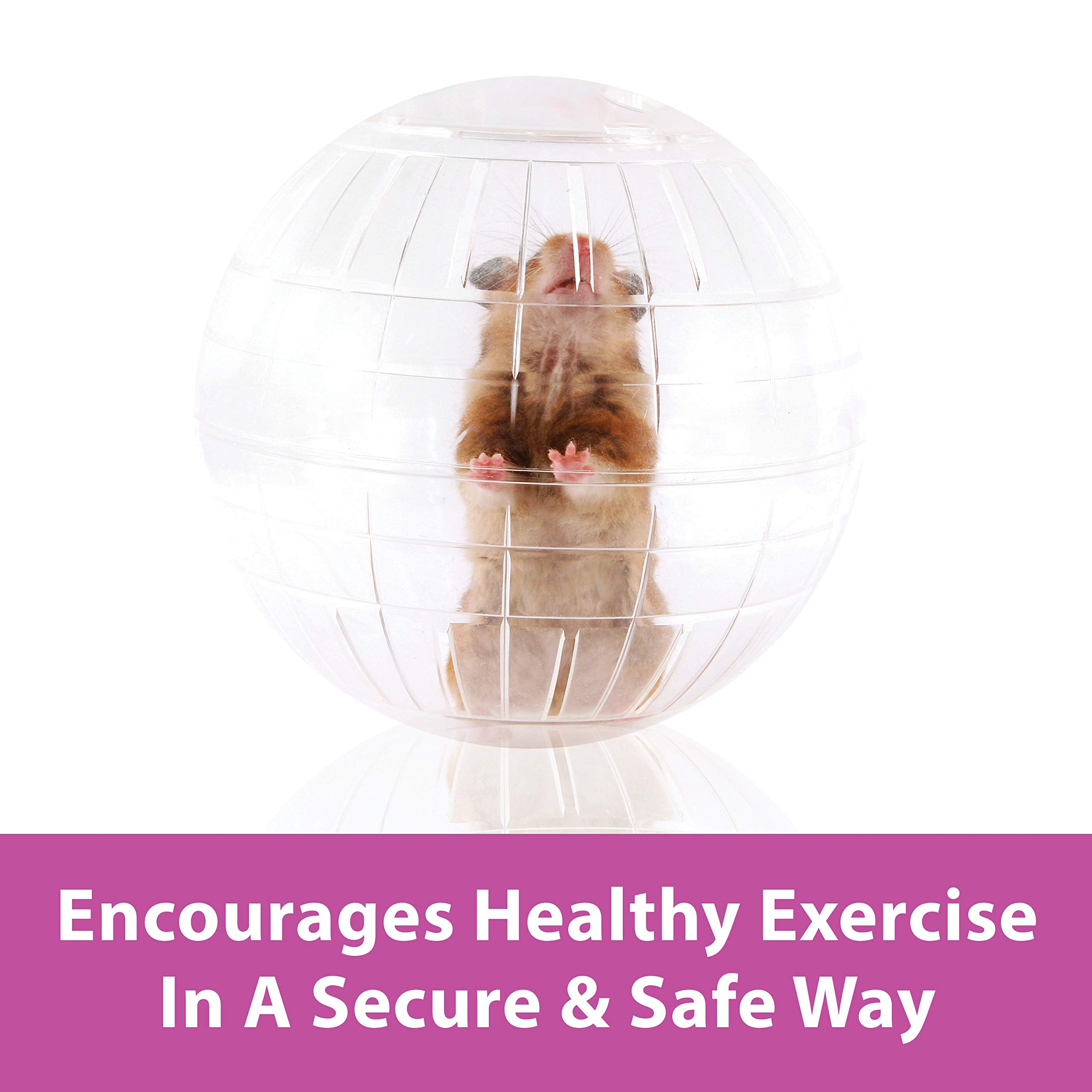Kaytee Run-About Ball in use with rats and chinchillas exercising