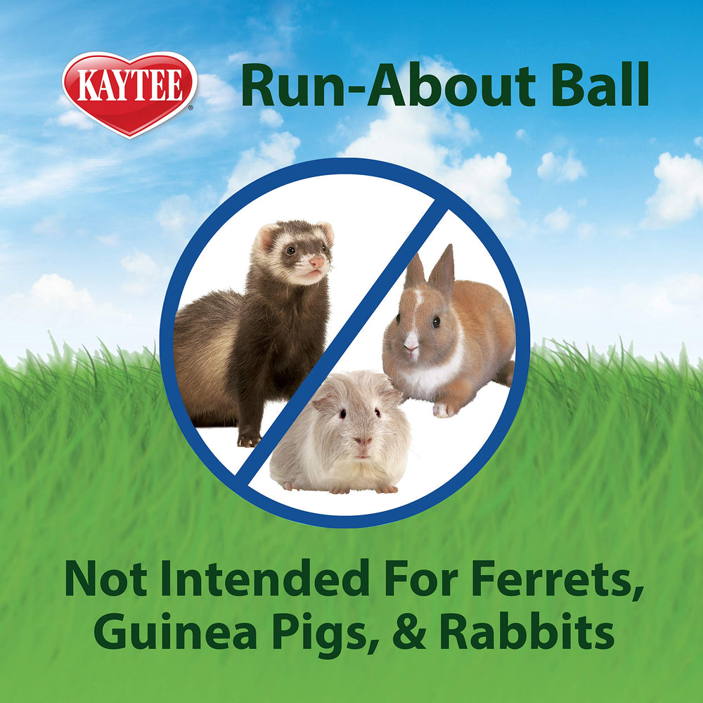 Kaytee Run-About Ball provides a secure exercise environment for small pets