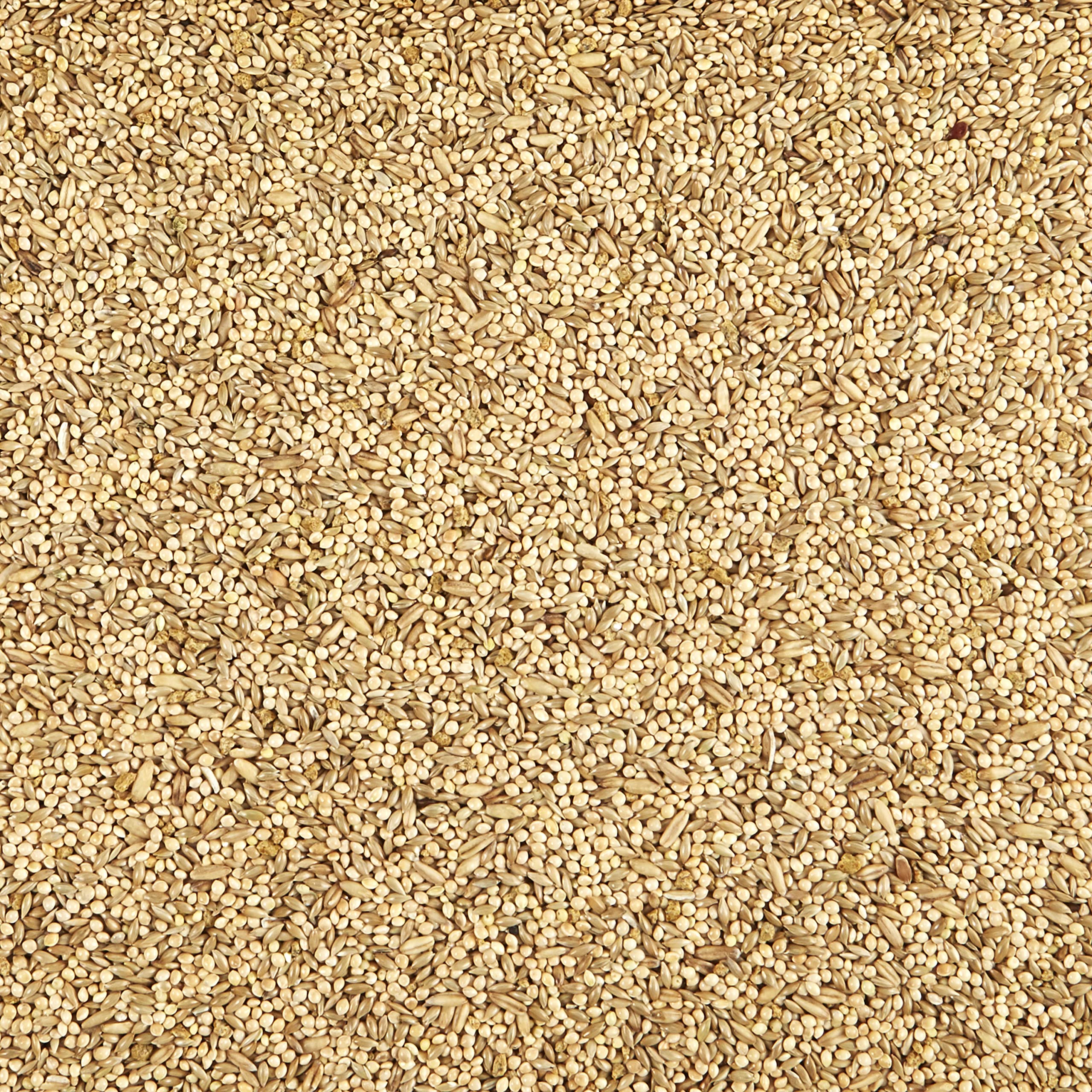 Kaytee Supreme Parakeet Food—no artificial colors for natural feeding