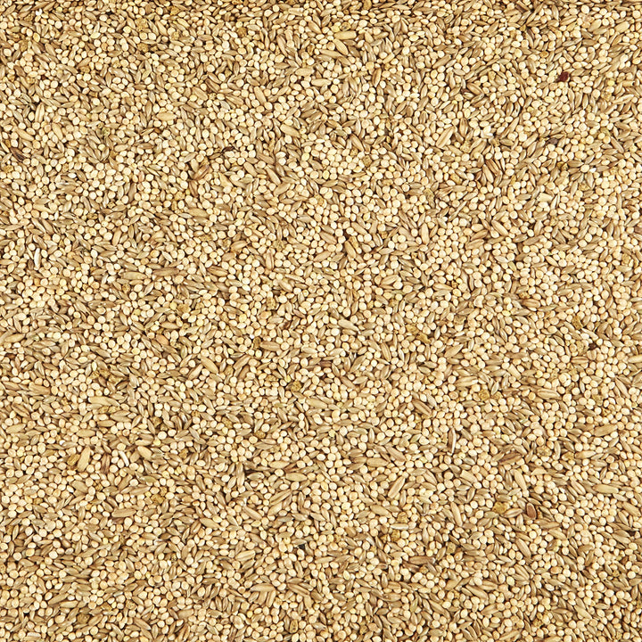 Kaytee Supreme Parakeet Food—no artificial colors for natural feeding