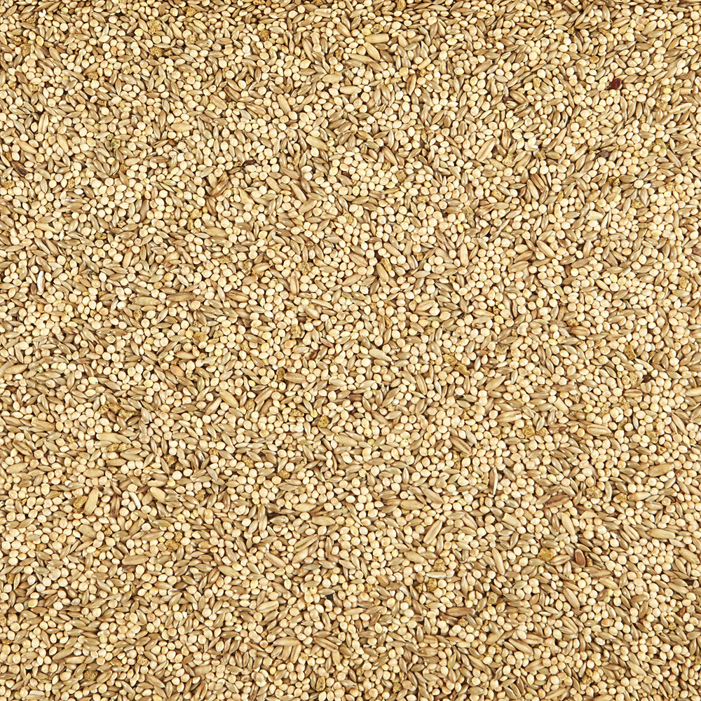 Kaytee Supreme Parakeet Food—no artificial colors for natural feeding