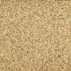 Kaytee Supreme Parakeet Food—no artificial colors for natural feeding