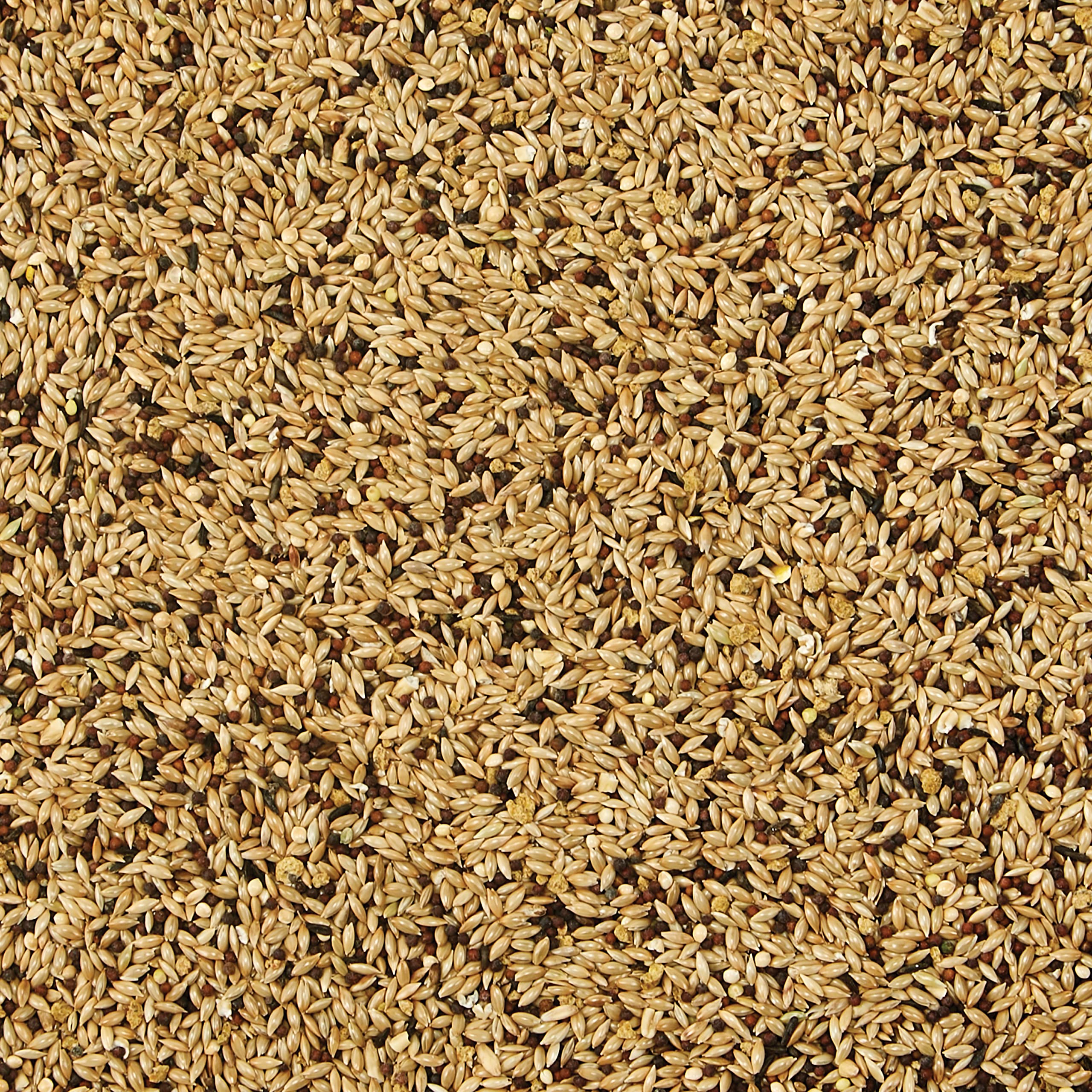 Kaytee Supreme seed and grain mix featuring natural ingredients for birds.