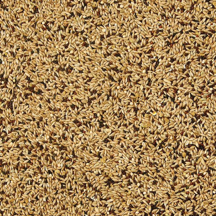 Kaytee Supreme seed and grain mix featuring natural ingredients for birds.