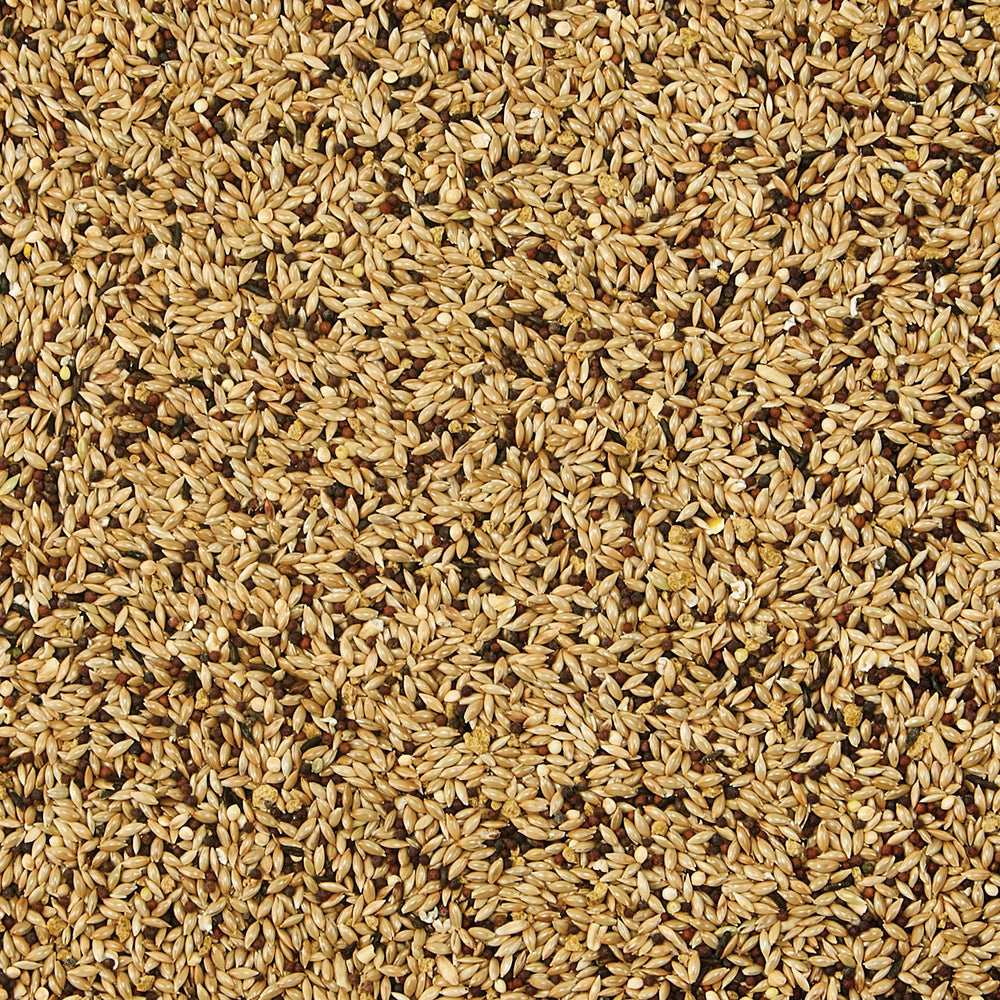 Kaytee Supreme seed and grain mix featuring natural ingredients for birds.