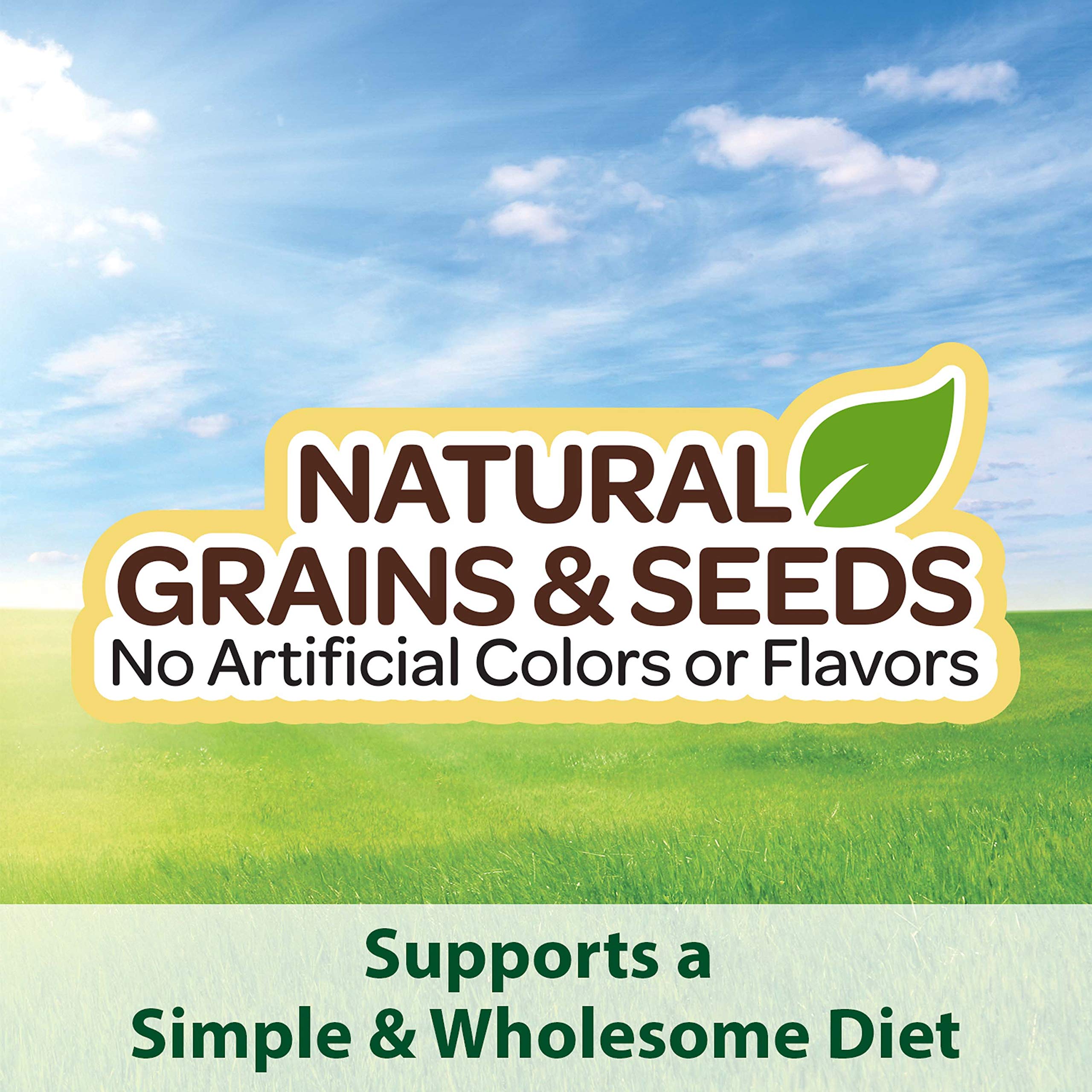 Kaytee Supreme fortified with vitamins and minerals to support daily vitality.