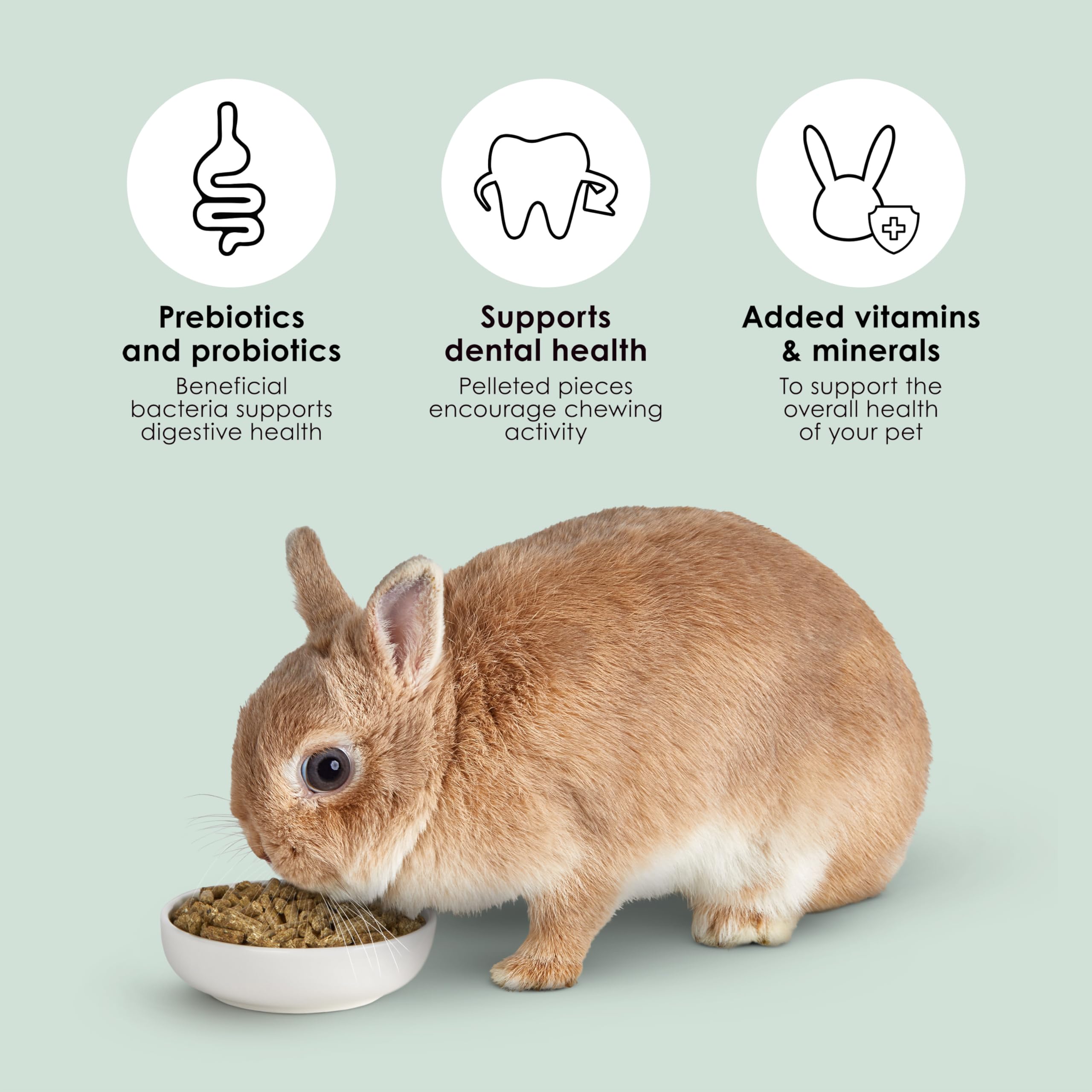 Pellets encourage natural chewing to support dental health in rabbits.