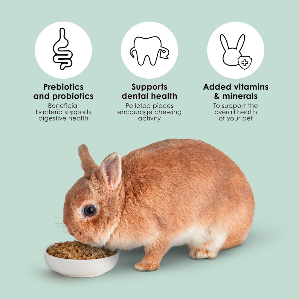 Pellets encourage natural chewing to support dental health in rabbits.