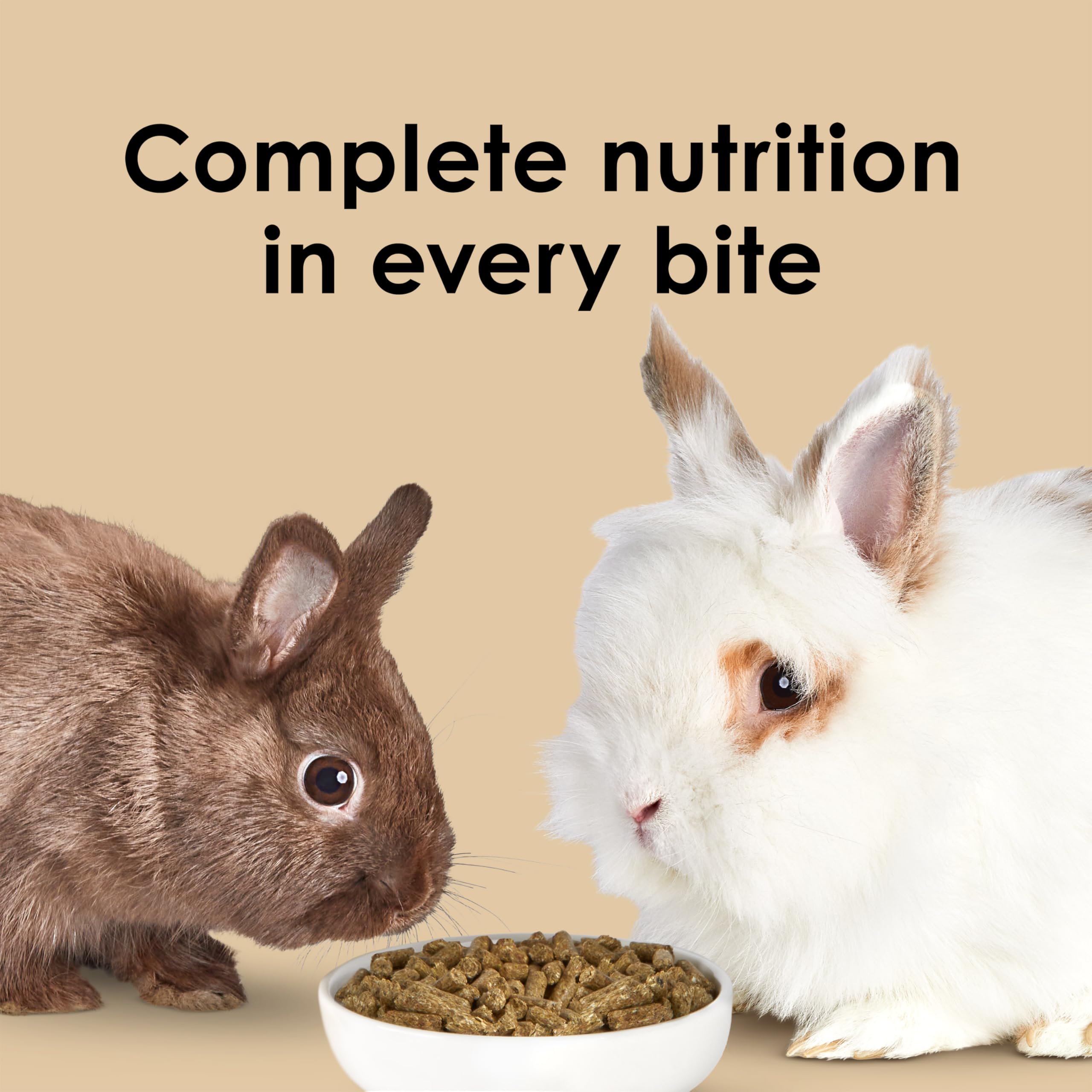 Kaytee small animal scene with rabbit and hay backdrop for daily care