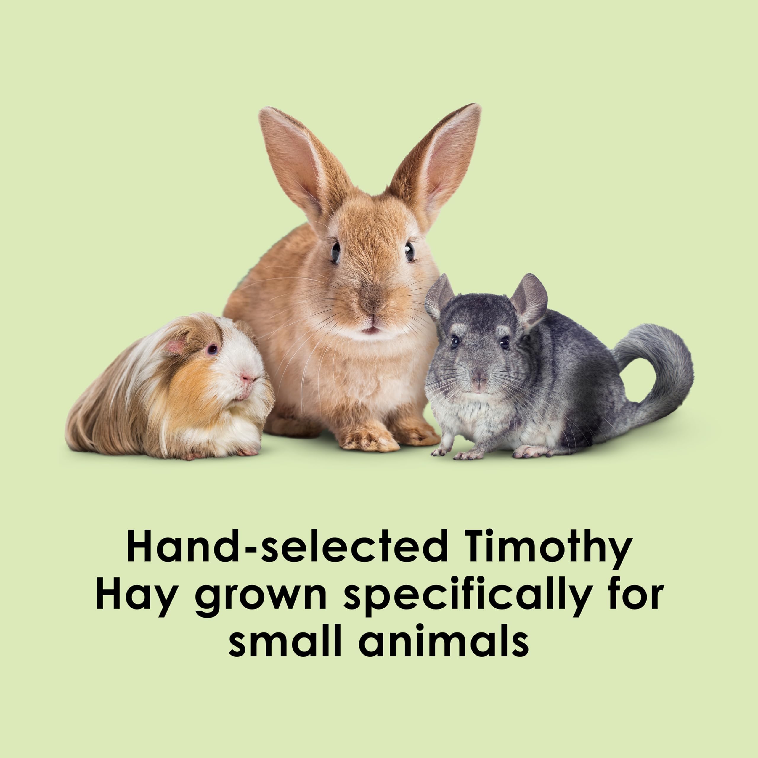 Kaytee Timothy Hay leaf-to-stem ratio highlights quality forage for rabbits and guinea pigs.