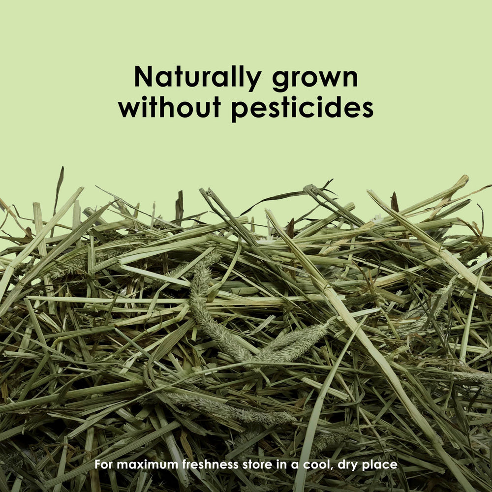 Kaytee Timothy Hay leaf-to-stem ratio highlights quality for small pets.