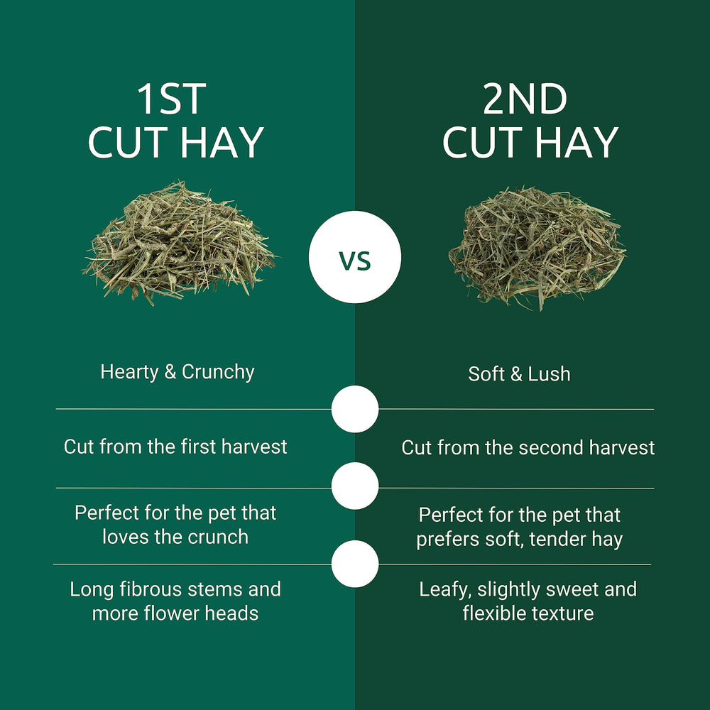 Kaytee Timothy hay long-fiber strands close up support natural chewing.