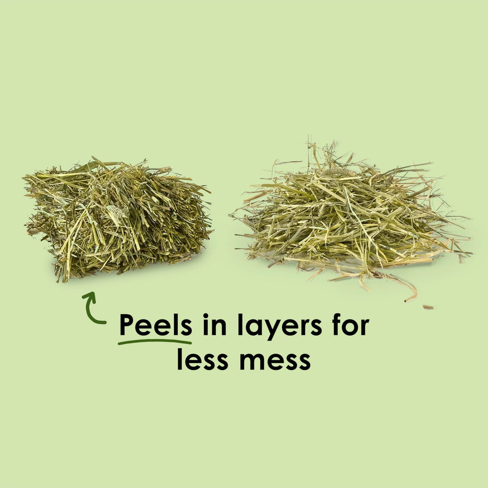 Kaytee pesticide-free field grown Timothy hay without additives.