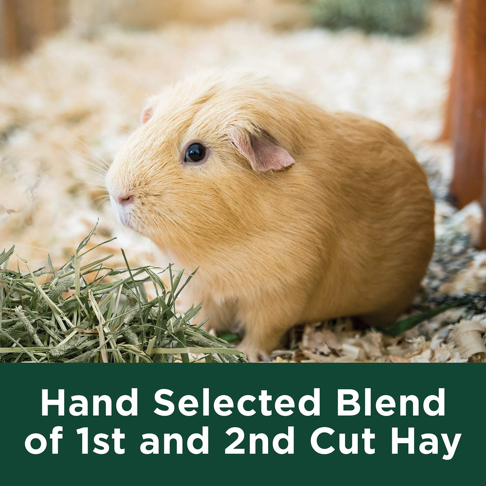 Kaytee Timothy Hay Plus America's #1 Hay Brand badge on pack.