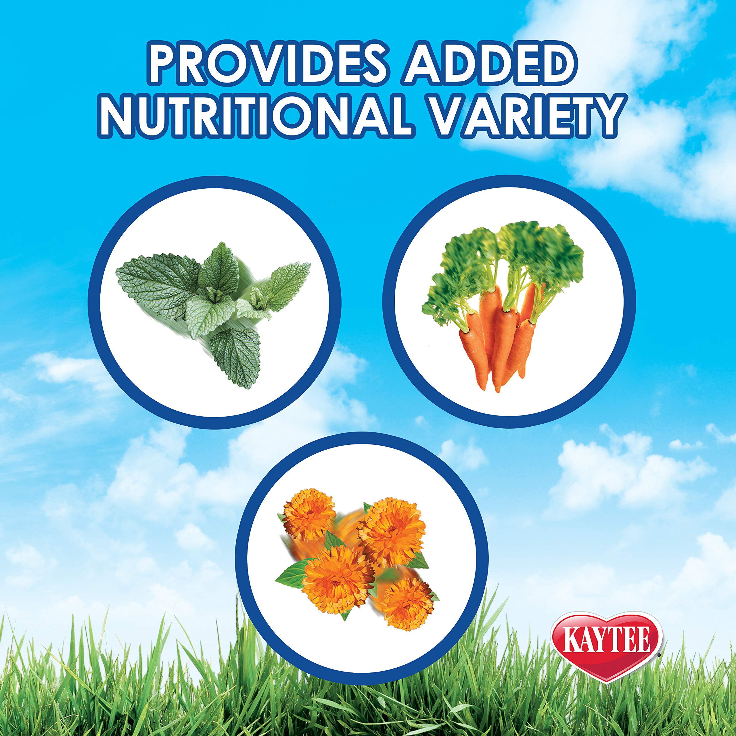 Kaytee Timothy Hay Plus carrot shreds promoting texture variety and nibble appeal.