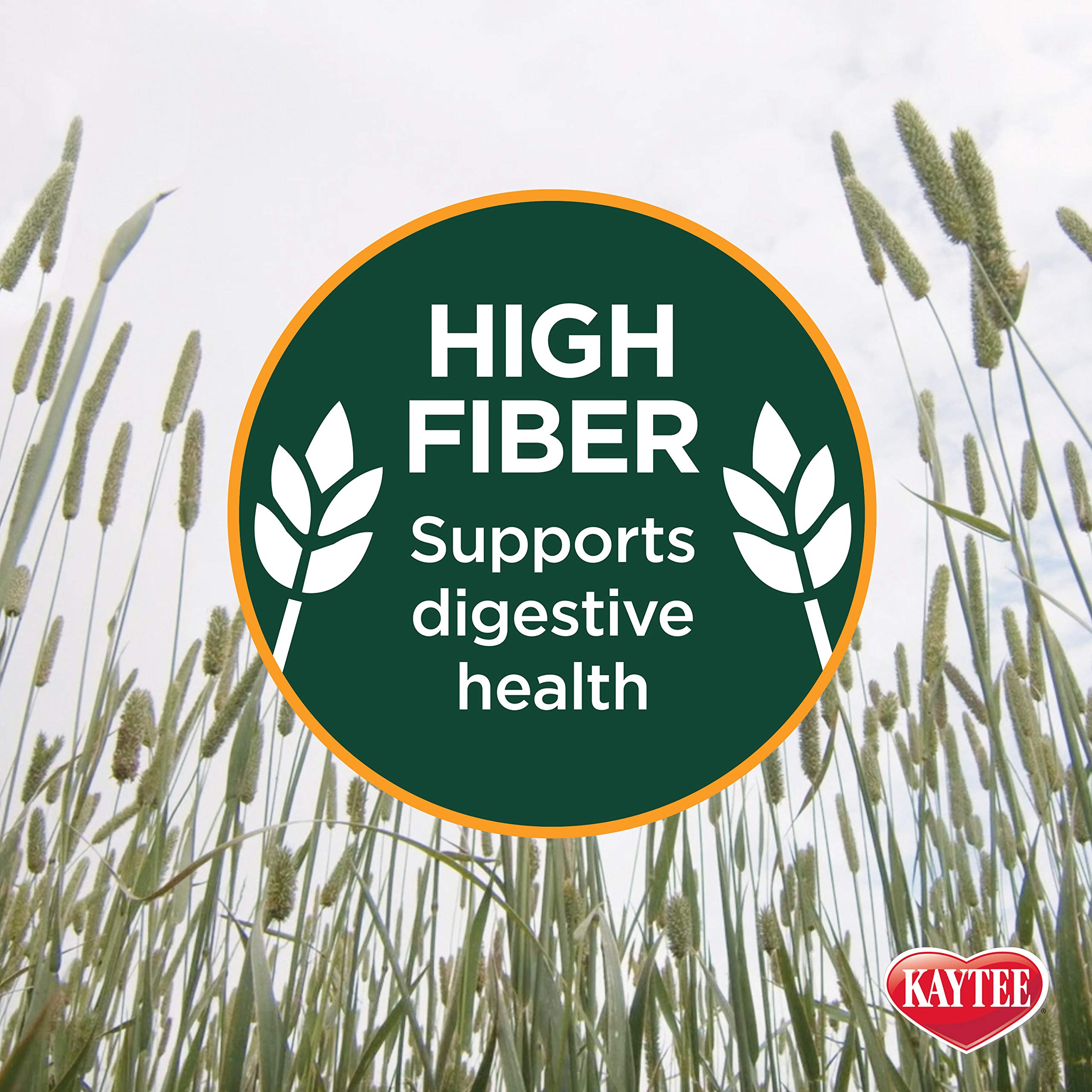 Shows Kaytee hay ideal for rabbits and guinea pigs during daily feeding.