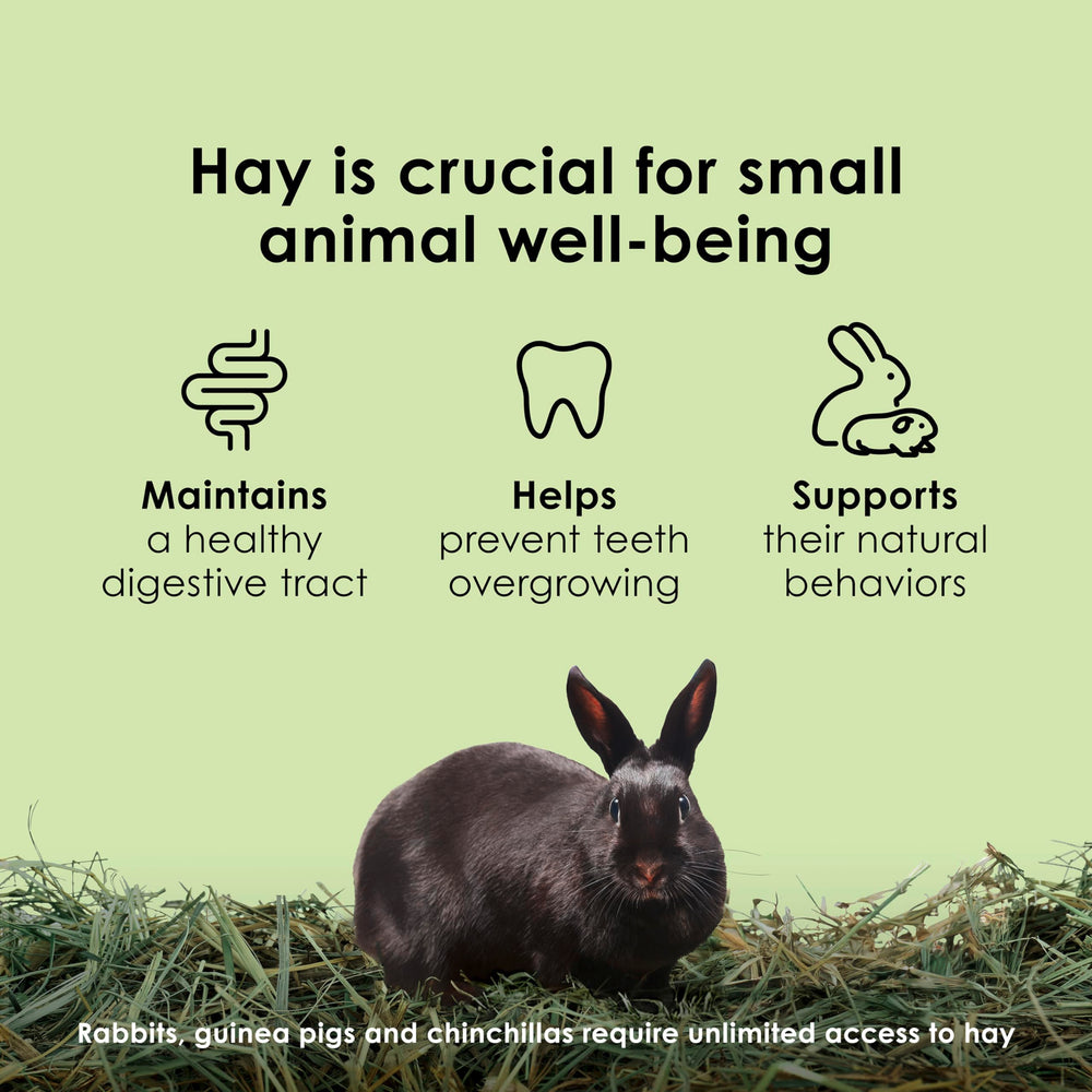 Kaytee Timothy Hay grown for small pets maximizes nutritional value
