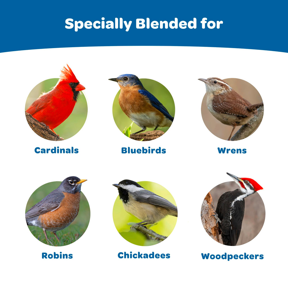 Kaytee Wild Bird Gourmet Seed Cake chickadees enjoying a compact, mess-reducing snack.