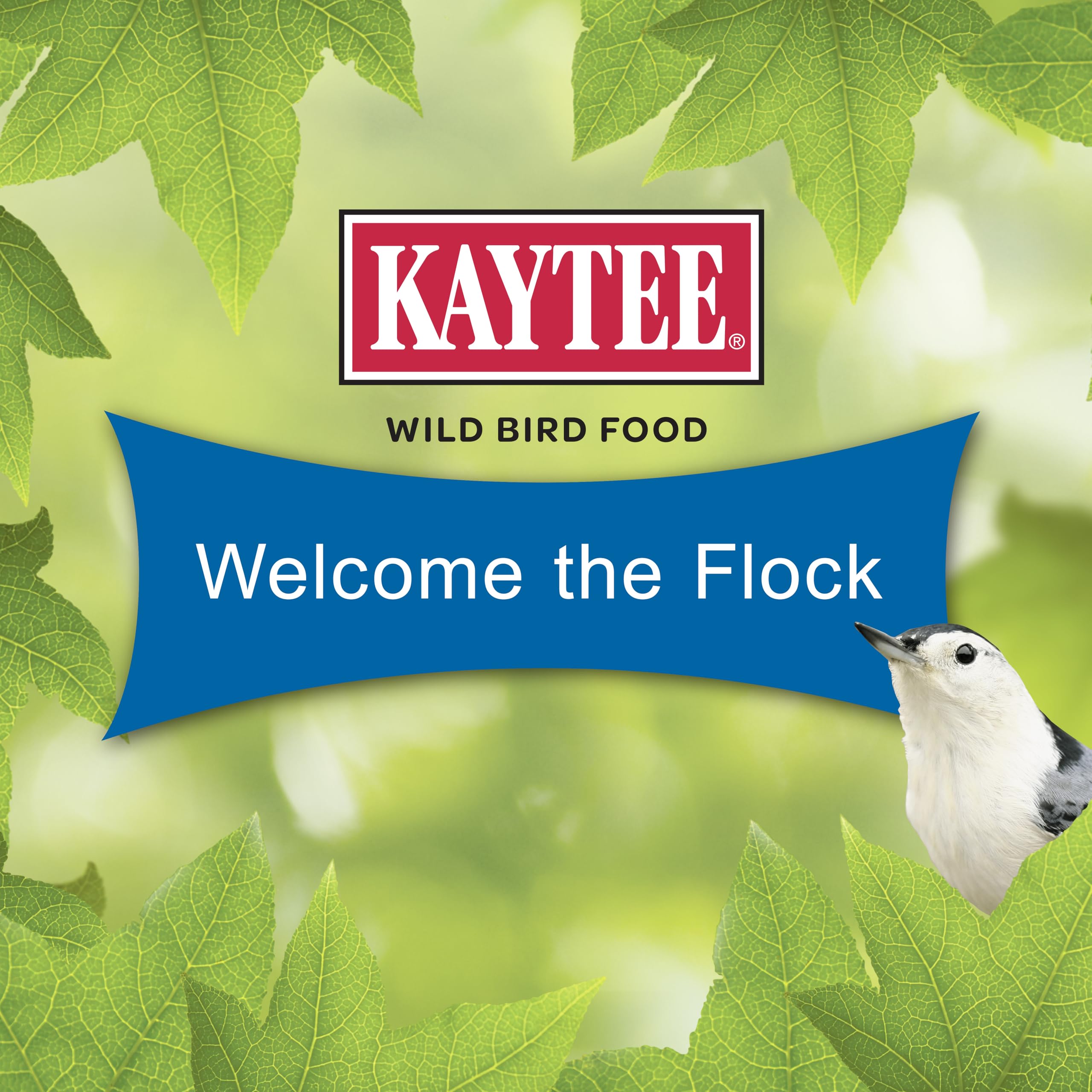 Kaytee Wild Bird Gourmet Seed Cake at feeder station boosts visits and enjoyment.