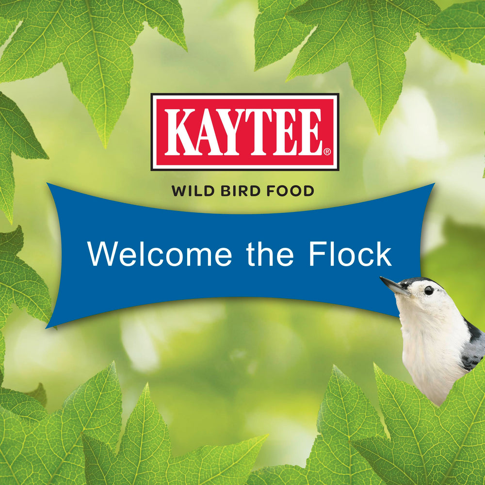 Kaytee Wild Bird Gourmet Seed Cake at feeder station boosts visits and enjoyment.