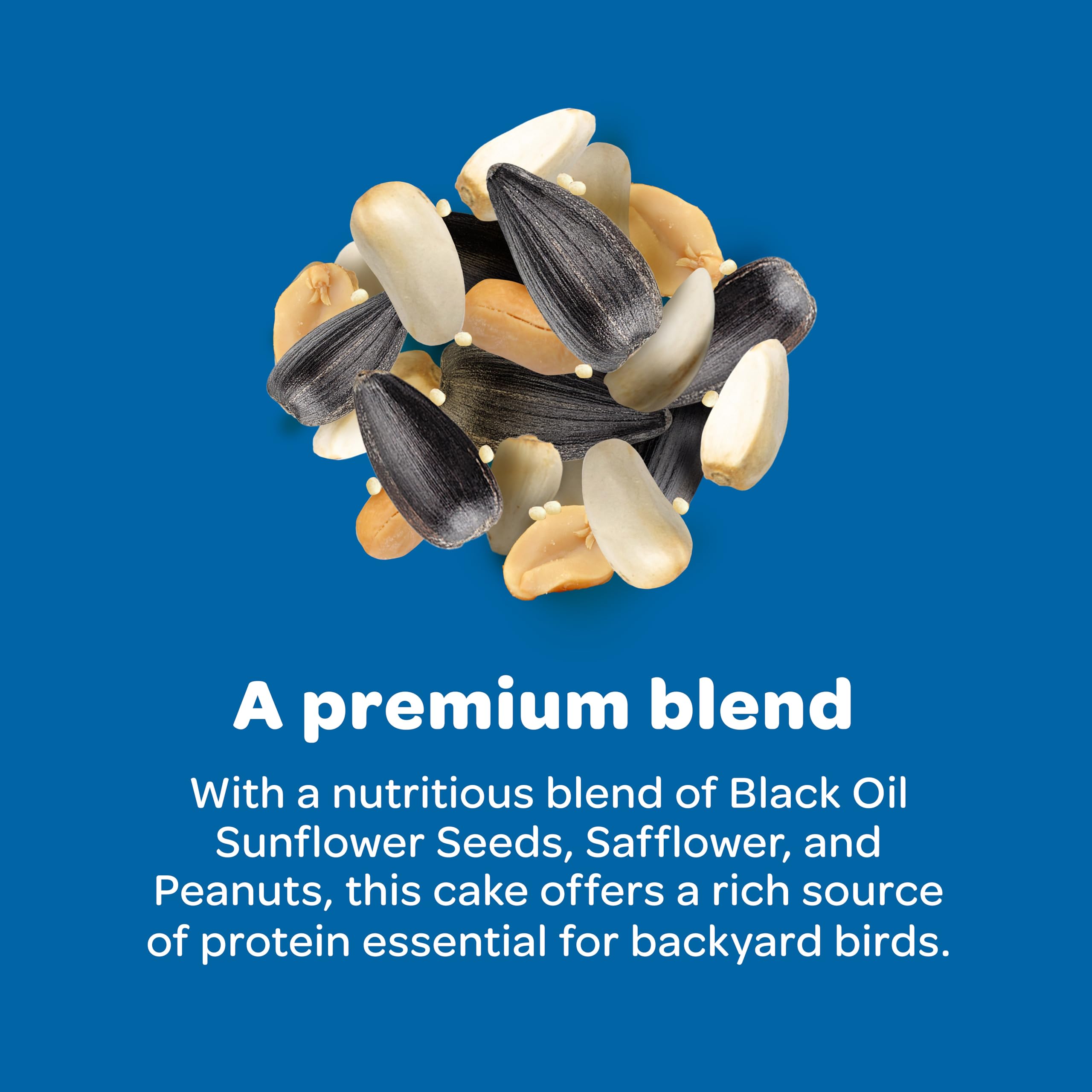 Kaytee Wild Bird Gourmet Seed Cake juncos gathering vibrant energy for seasons.