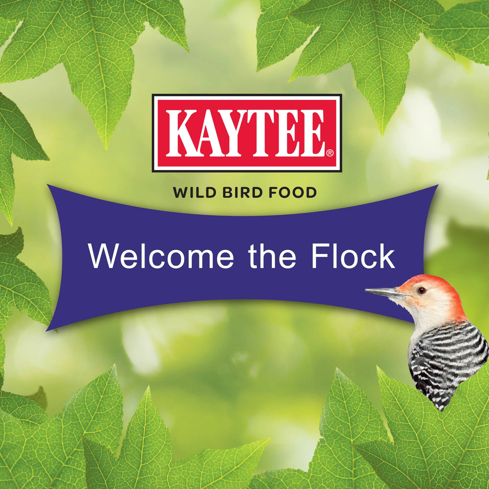 Chickadees and nuthatches attracted to Kaytee Seed Cake