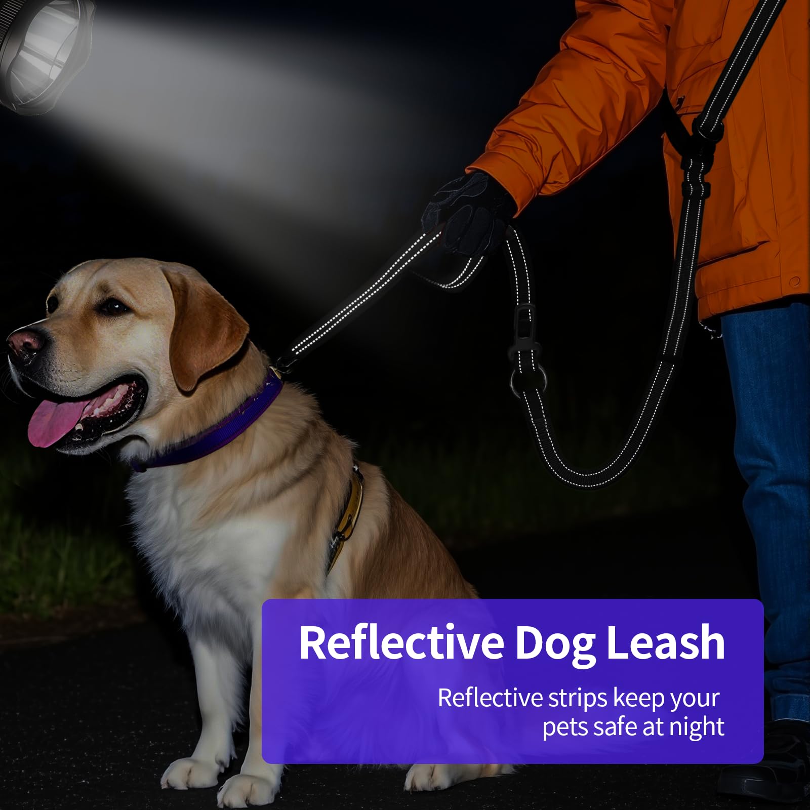 Kazazoo heavy-duty nylon construction supports larger, energetic dogs.